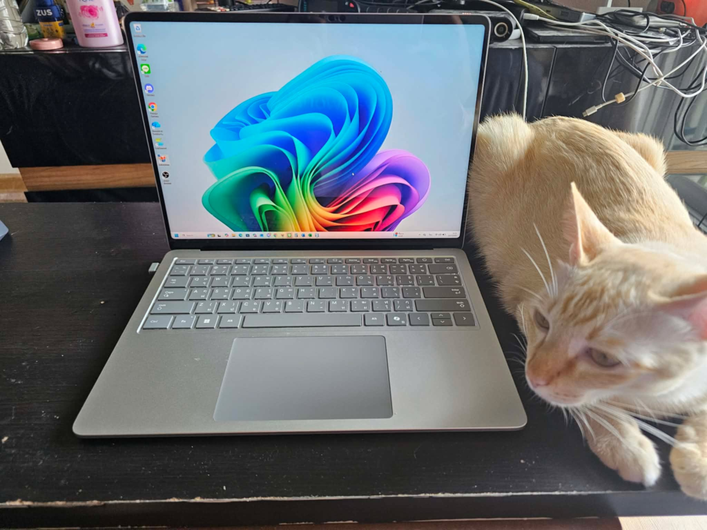 Surface Laptop 7 13.8" snapdragon X Elite 12 core 512gb (2024)
